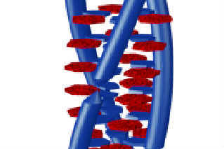 Cyanuric acid can modify DNA's traditional double-helix structure into a triple-helix shape.
