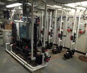 The NEX-GENpH® 80 is an on-site batch chlorine generator that uses salt (see feeder at left) instead of bulk chlorine to produce 80 lbs. of pH-neutral-equivalent chlorine per 24 hours. This unit was installed to feed five pools.