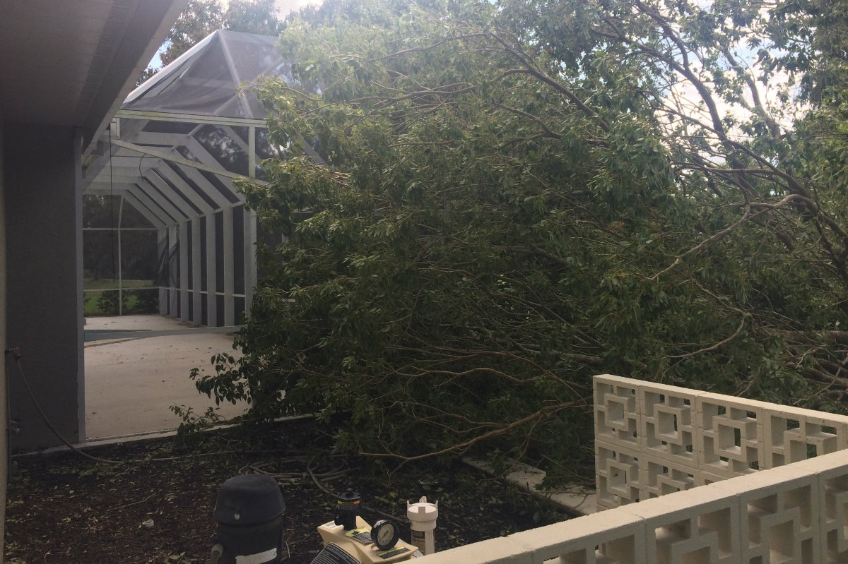 Downed trees and battered pool cages were a common sight after Hurricane Irma.
